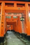 Fushi-mi-Inari-Taisha-torii-rossi-2