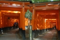 Fushi-mi-Inari-Taisha-torii-rossi