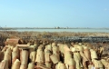 11-tegole-di-terracotta-ciaramire-pronte-per-ricoprire-gli-Arioni