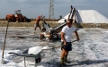 25-salinari-al-lavoro-con-carriola-e-pala