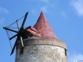 26-Pale-di-un-Mulino-a-vento