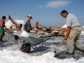 5-La-raccolta-del-sale-con-pala-e-carriola