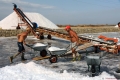 6-Salinari-al-lavoro-con-la-carriola-sul-nastro-trasportatore