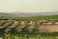 04-CAMPAGNA-CIRCOSTANTE-4-DSC_1634
