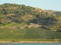 54-PANORAMA-SAMBUCA-DAL-LAGO-ARANCIO-2-DSC_1620