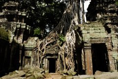 DSC0743