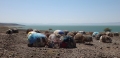 Lago-Turkana-con-tipiche-capanne