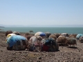 Lago-Turkana-con-tipiche-capanne