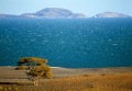 Lake-Turkana-acacia-tree-MARE-DI-GIADA
