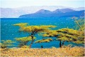 Lake-Turkana-south-Island-National-Park