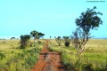 SAMBURU-RESERVE-PRATERIA