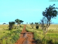 SAMBURU-RESERVE-PRATERIA
