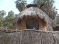 manyattas
