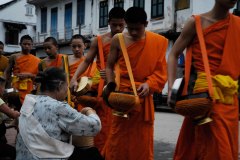 LAOS_Spadaccini_0109