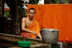 LAOS_Spadaccini_0260