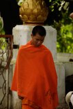 LAOS_Spadaccini_0314