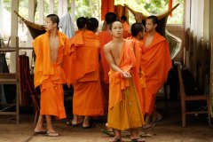 LAOS_Spadaccini_0320