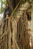 LAOS_Spadaccini_0355