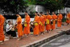 LAOS_Spadaccini_C0137