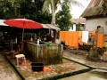 LAOS_Spadaccini_0249