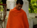 LAOS_Spadaccini_0314