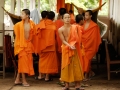 LAOS_Spadaccini_0320
