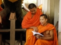 LAOS_Spadaccini_0323