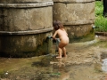 LAOS_Spadaccini_0386