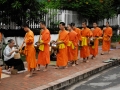 LAOS_Spadaccini_C0137