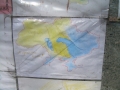 Ucraina-2014-411