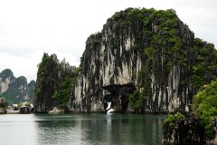 DSC0783