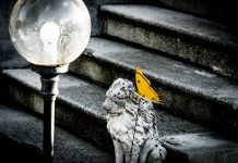 Marghera e il giardino che non c’è