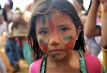 Guaranì-kaiowá contro il terrorismo latifondista