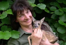 Tutela degli animali: la situazione attuale in un prestigioso convegno