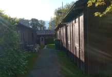 Ultima fermata, Bois des frères