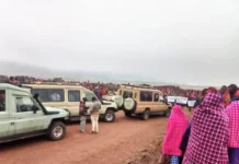 Contro i masai, difesa della natura o semplice turismo colonialista?