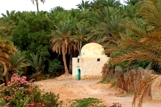 berberi amazigh Chott-el-Jerid