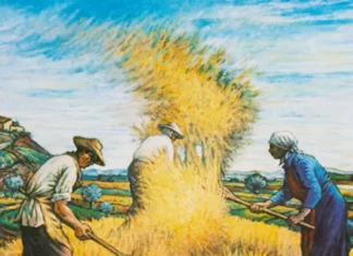 Il ciclo del grano: feste e rituali della tradizione popolare in Sicilia