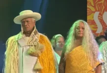 Hiva e il segreto dei quattro elementi