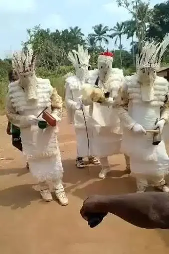 voodoo